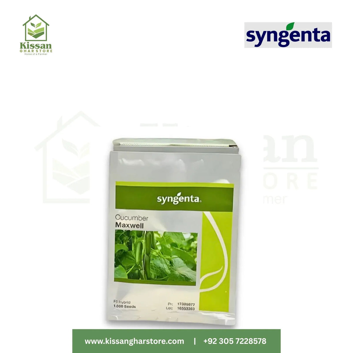 Maxwell Cucumber Hybrid F1 Seed 1000 Seeds Syngenta Pakistan Limited