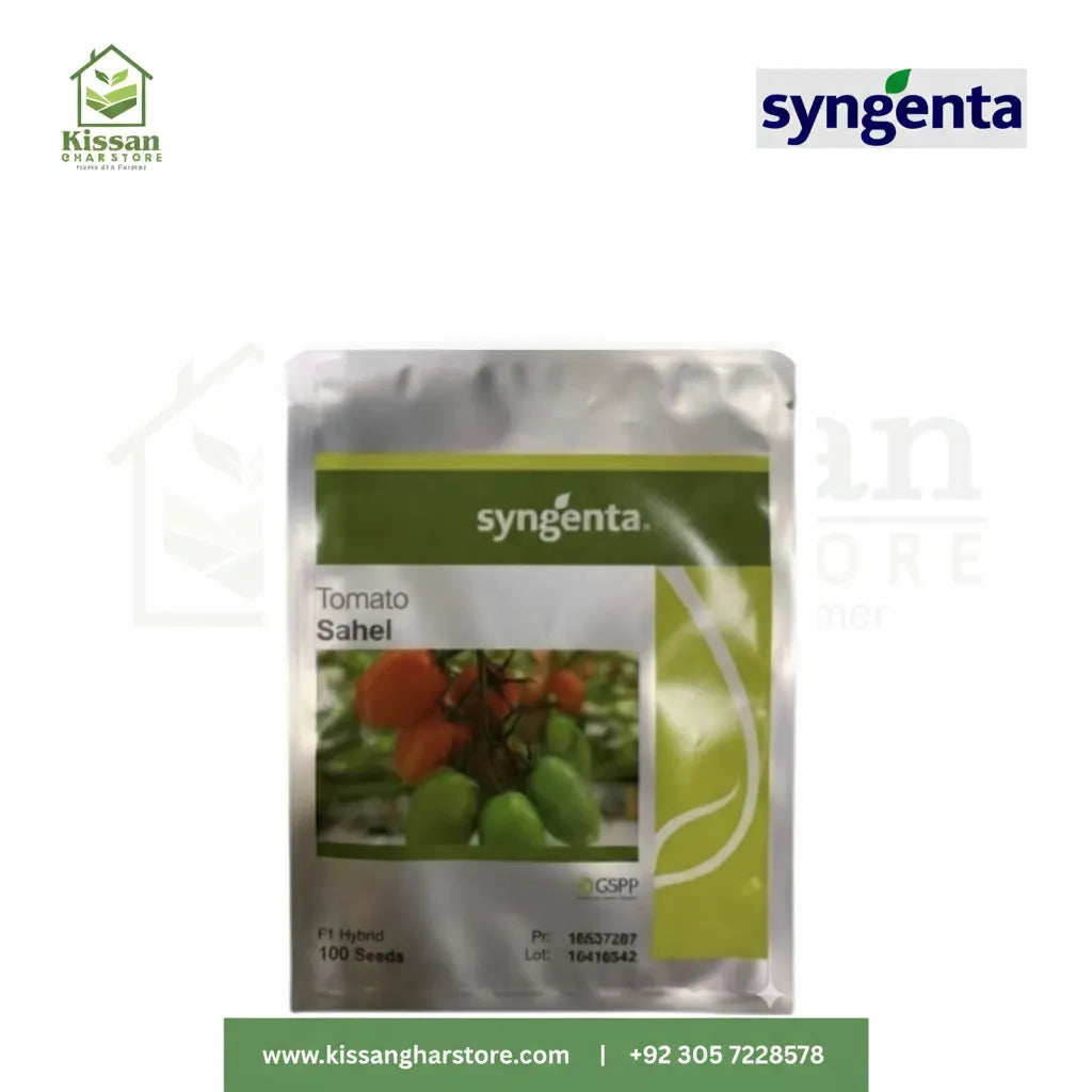 Sahel Tomato Hybrid F1 Seed 100 Seeds Syngenta Pakistan Limited