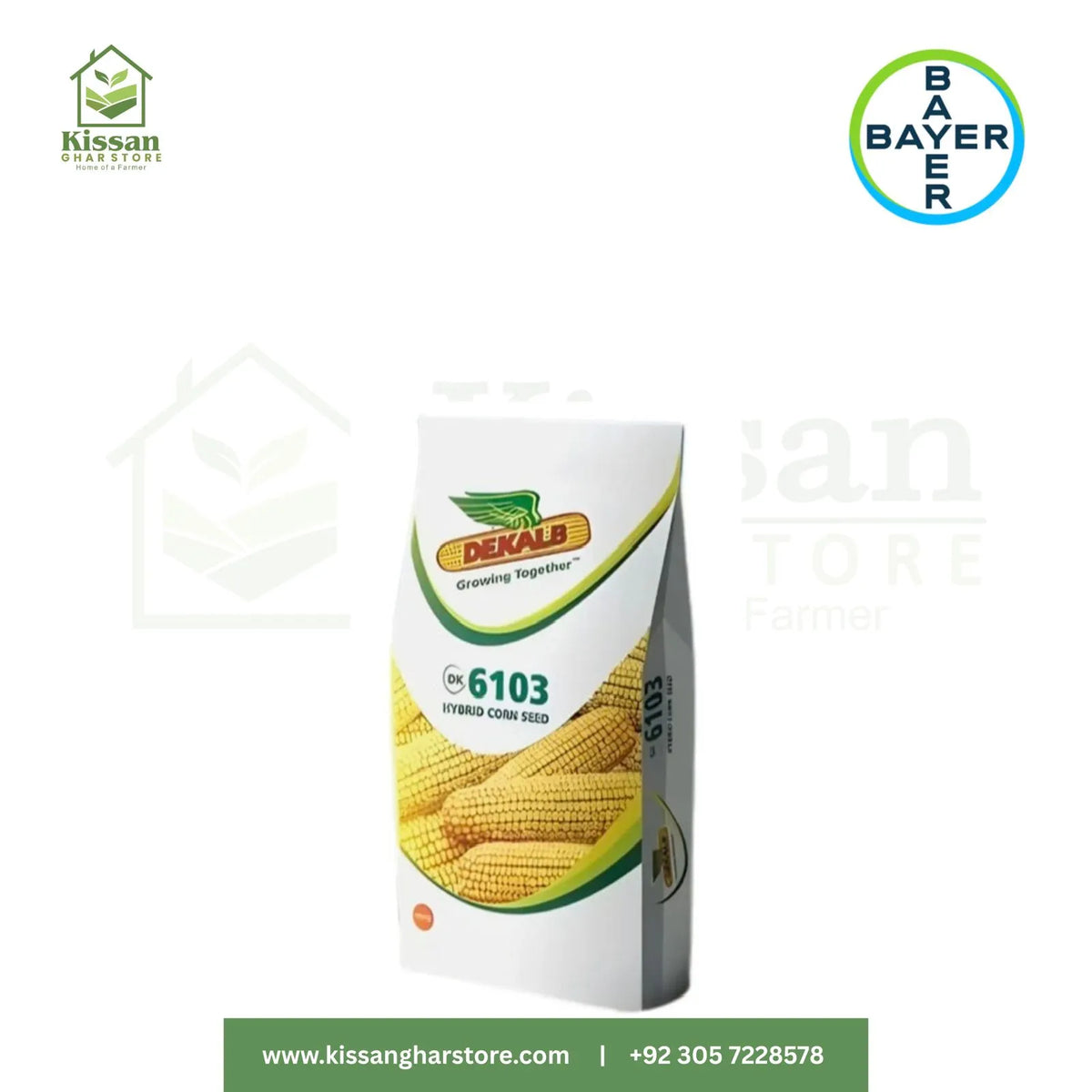 Dk 6103 Hybrid Corn Seed 10kg Monsanto Dekalb Bayer Maize Seeds Spring Corn