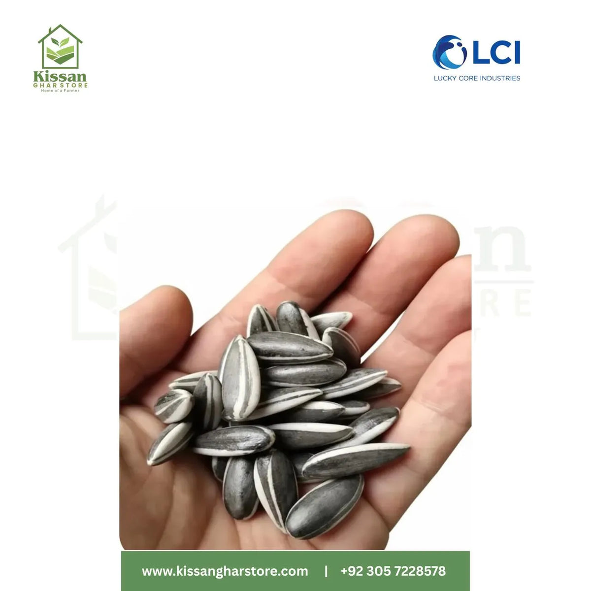 Hysun 33, T40318 Advanta 500GM  ICI Pakistan