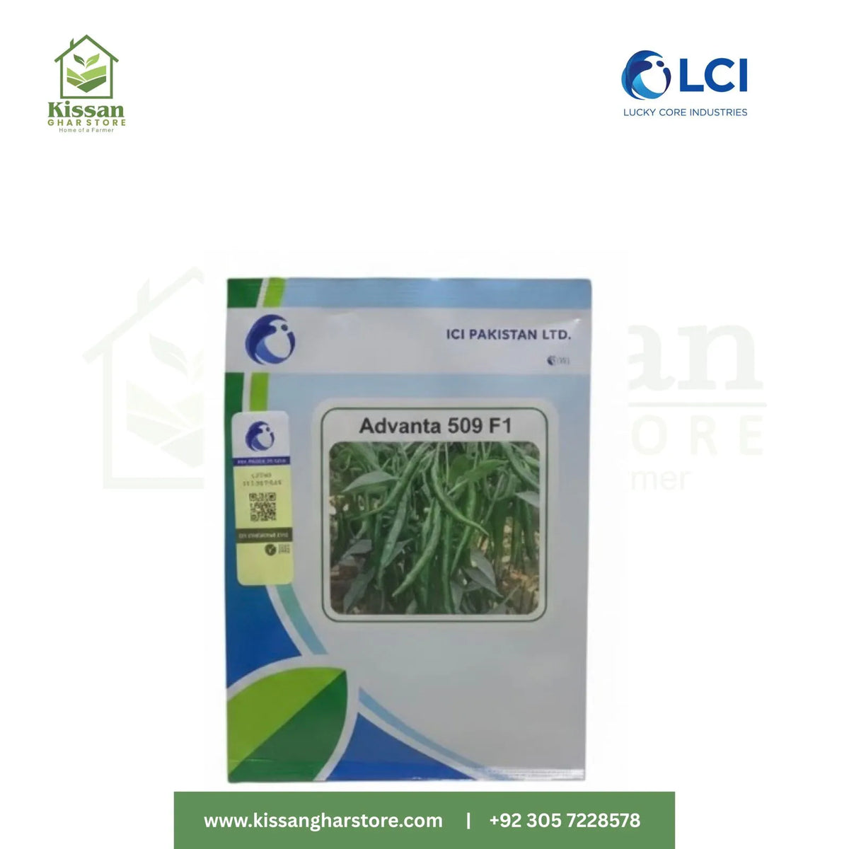 Advanta 509 Chilli F110GM LCI Pakistan