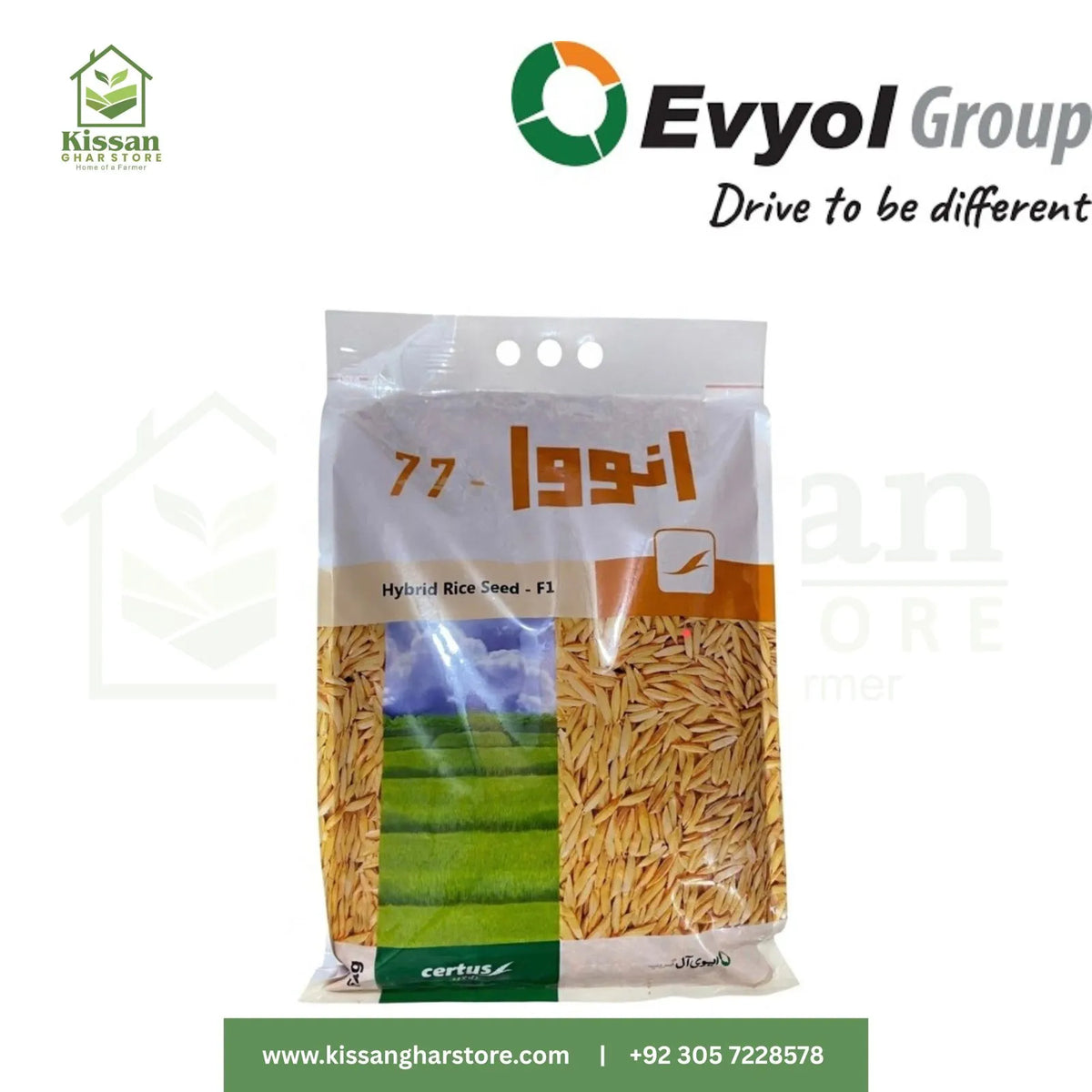 Hybrid Rice Seed Innova 77 F1 5kg Evyol Group
