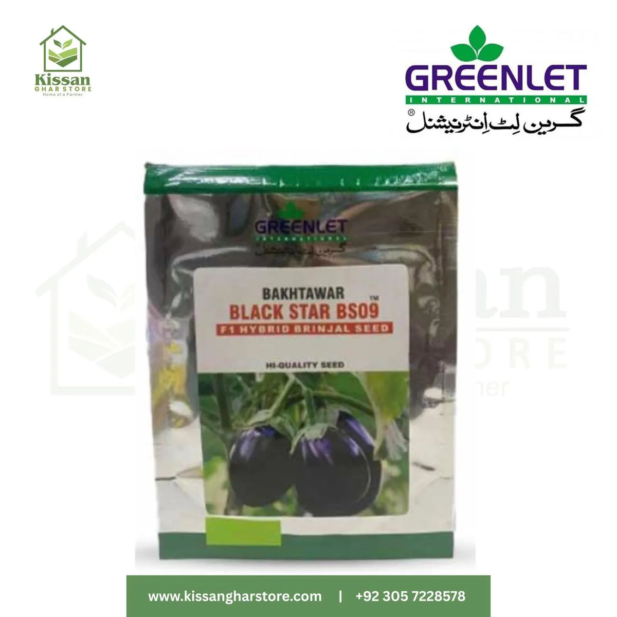Brinjal Seed F1 Hybrid 10gm Bakhtawar Brinja GREENLET International