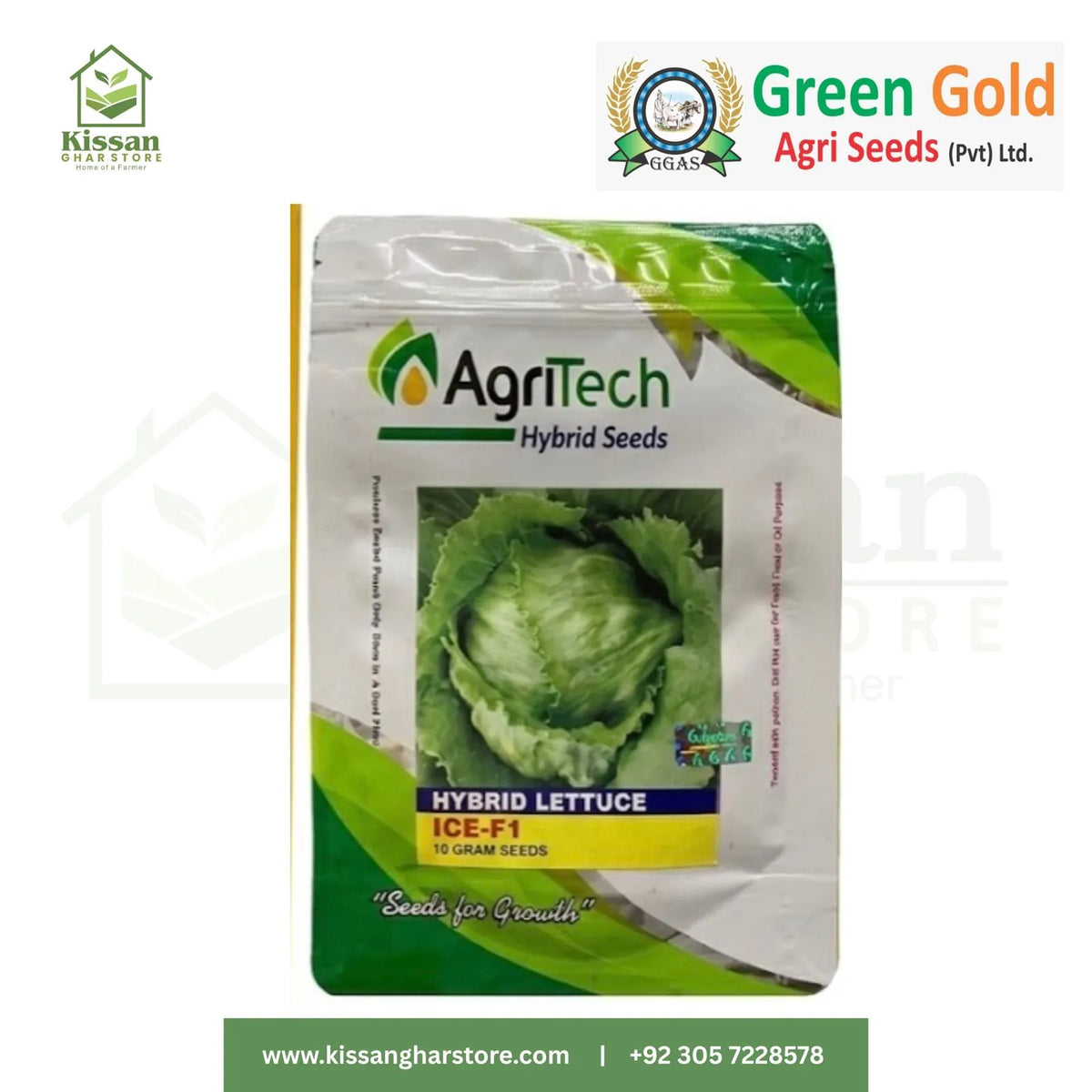 Lettuce Iceberg J Salad Hybrid Seed 10gm Green Gold