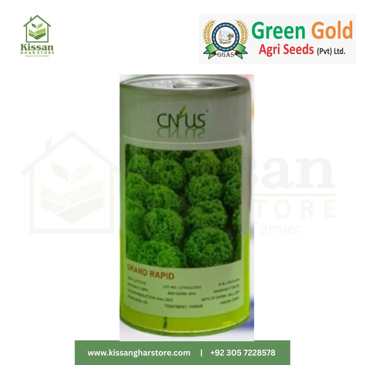 Lettuce Seed 100gm Green Gold