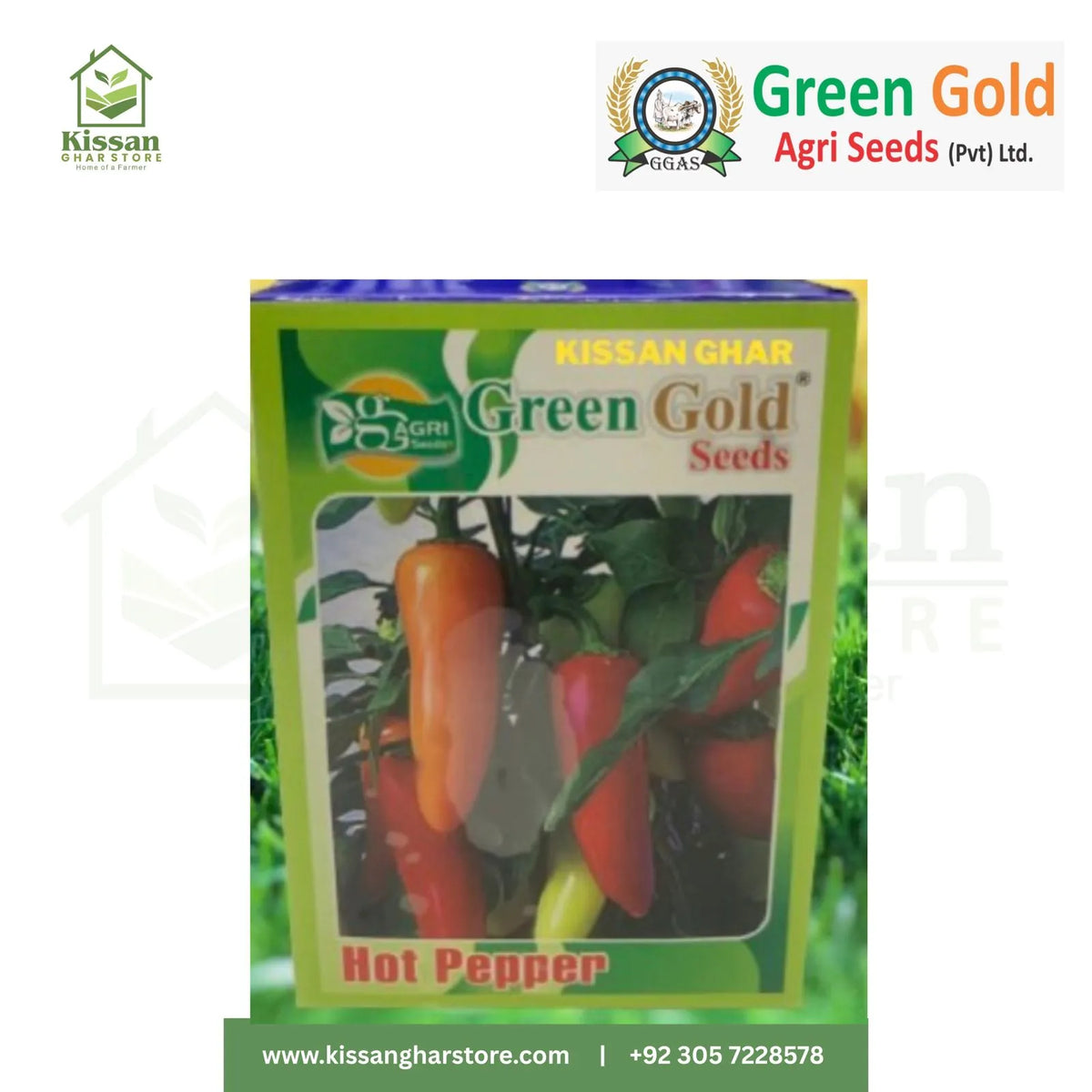 Green Pepper Seeds 100gm Green Gold