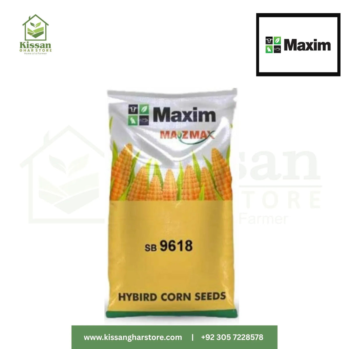 SB 9618 Maxim Single Cross Hybrid Grain Corn Seed 10Maxim Agri kg