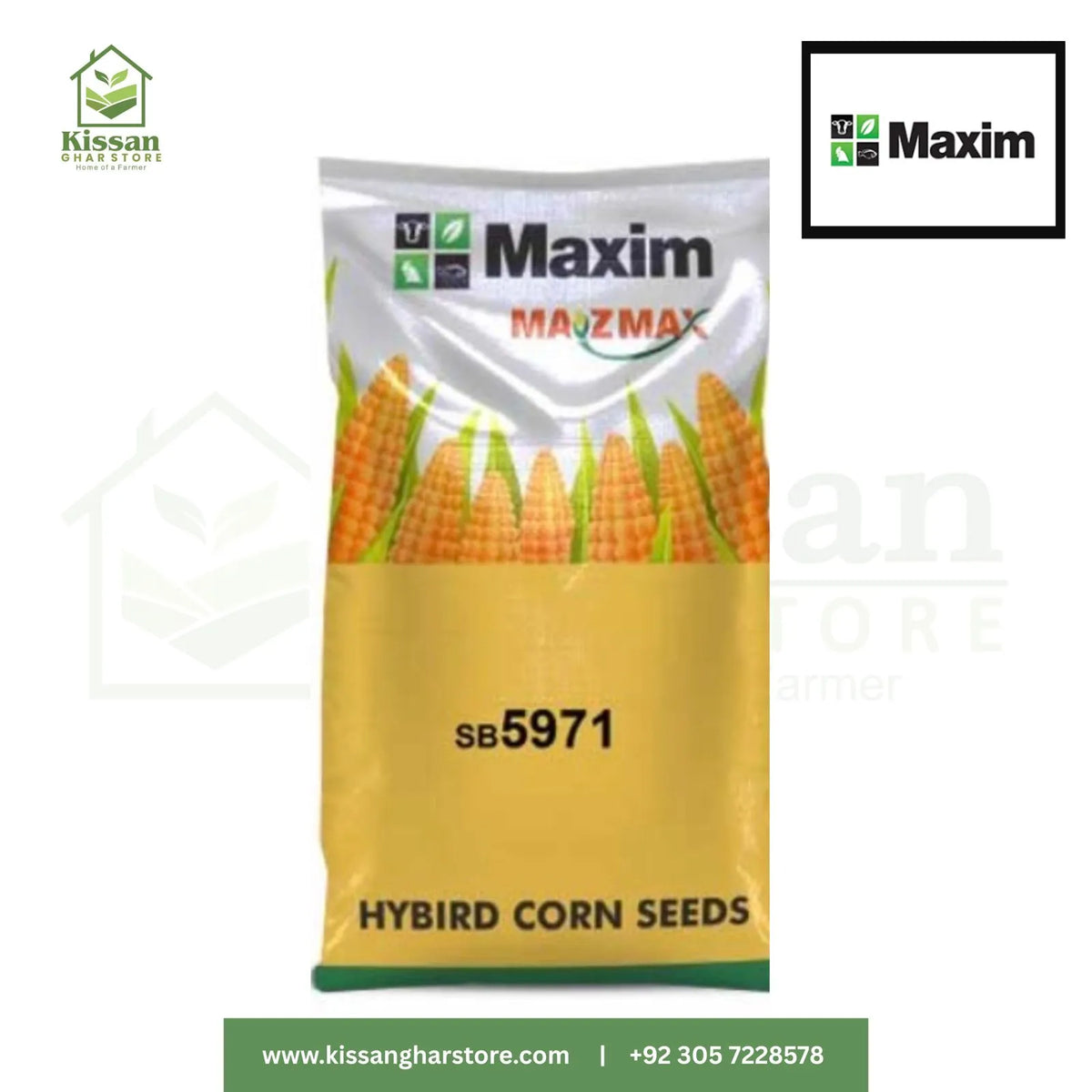 Sb 5971 Maxim Single Cross Hybrid Grain Corn Seed 10 Maxim Agrikg