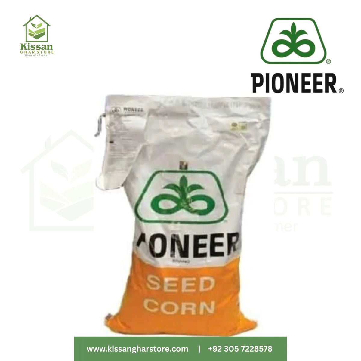 P3875  35000 Kernels Pioneer