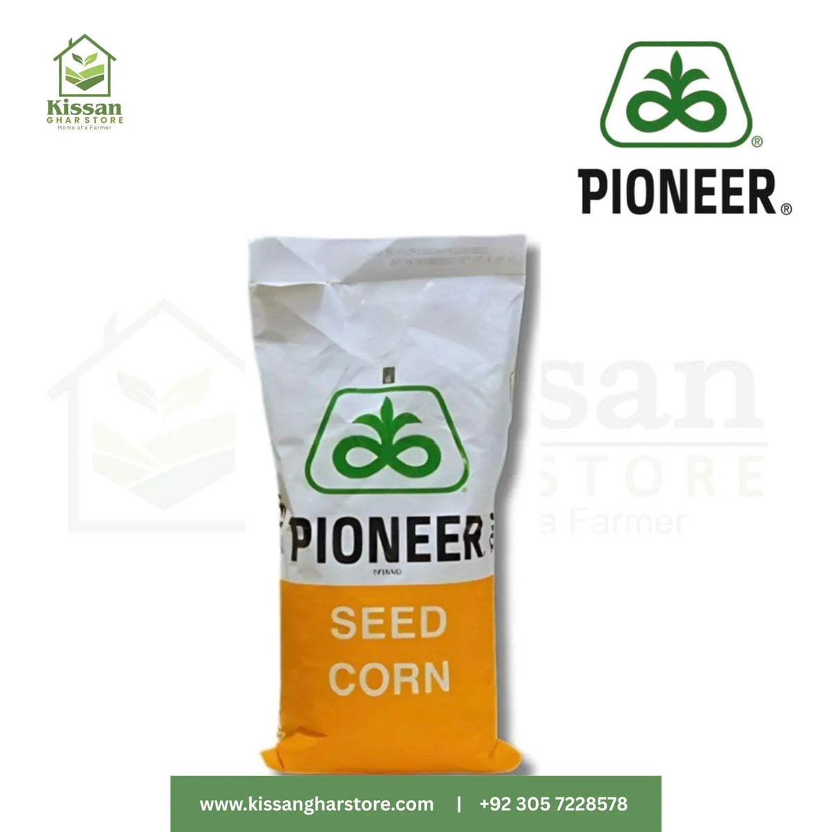 P4040 Hybrid Corn Seed Pioneer Brand 35000 Kernels