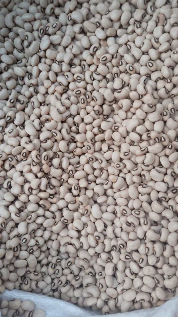 Lobia Black-eyed pea 1kg kissan ghar store
