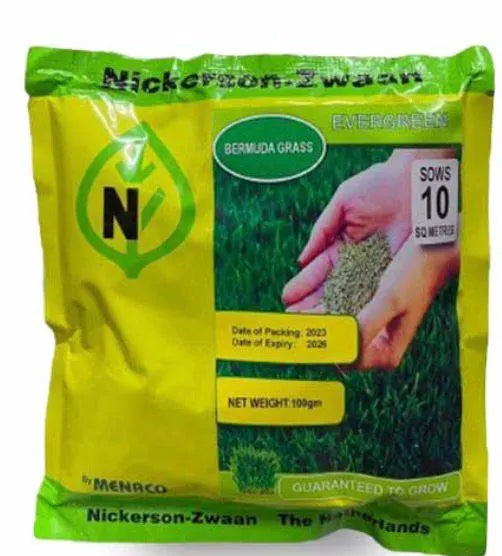 Bermuda Grass Seed 100gm  Global Products