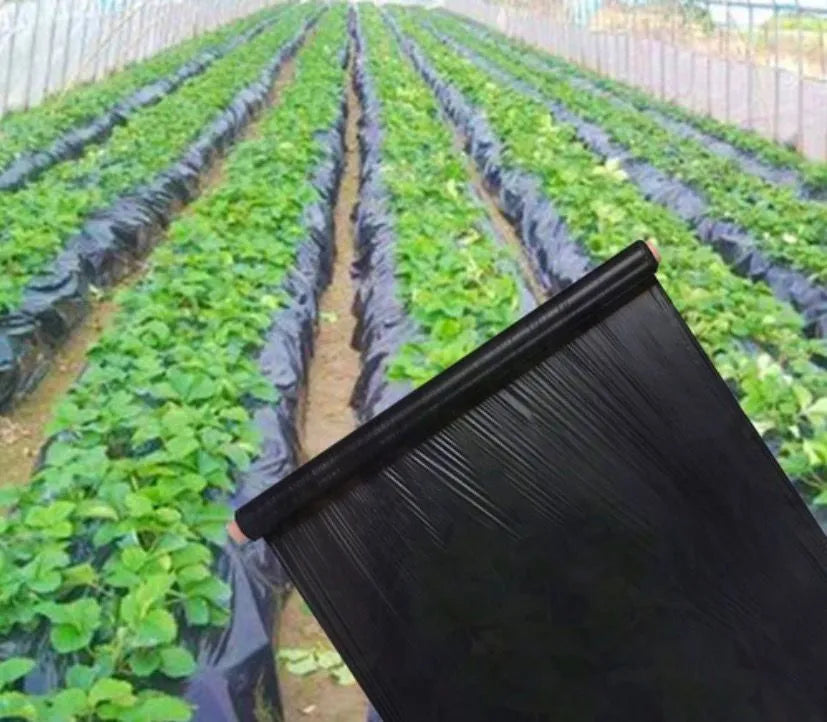 Black Ldpe Black Mulch Film Roll 20KG