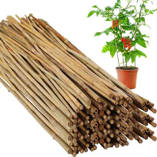 100 Pcs Bamboo Stakes Bulk 8 feet