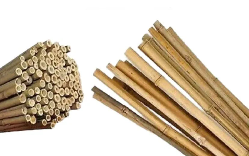 100 Pcs Bamboo Stakes Bulk 6 feet