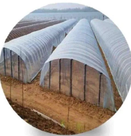 High Tunnel film or Green House film 20/22 Feet 1kg
