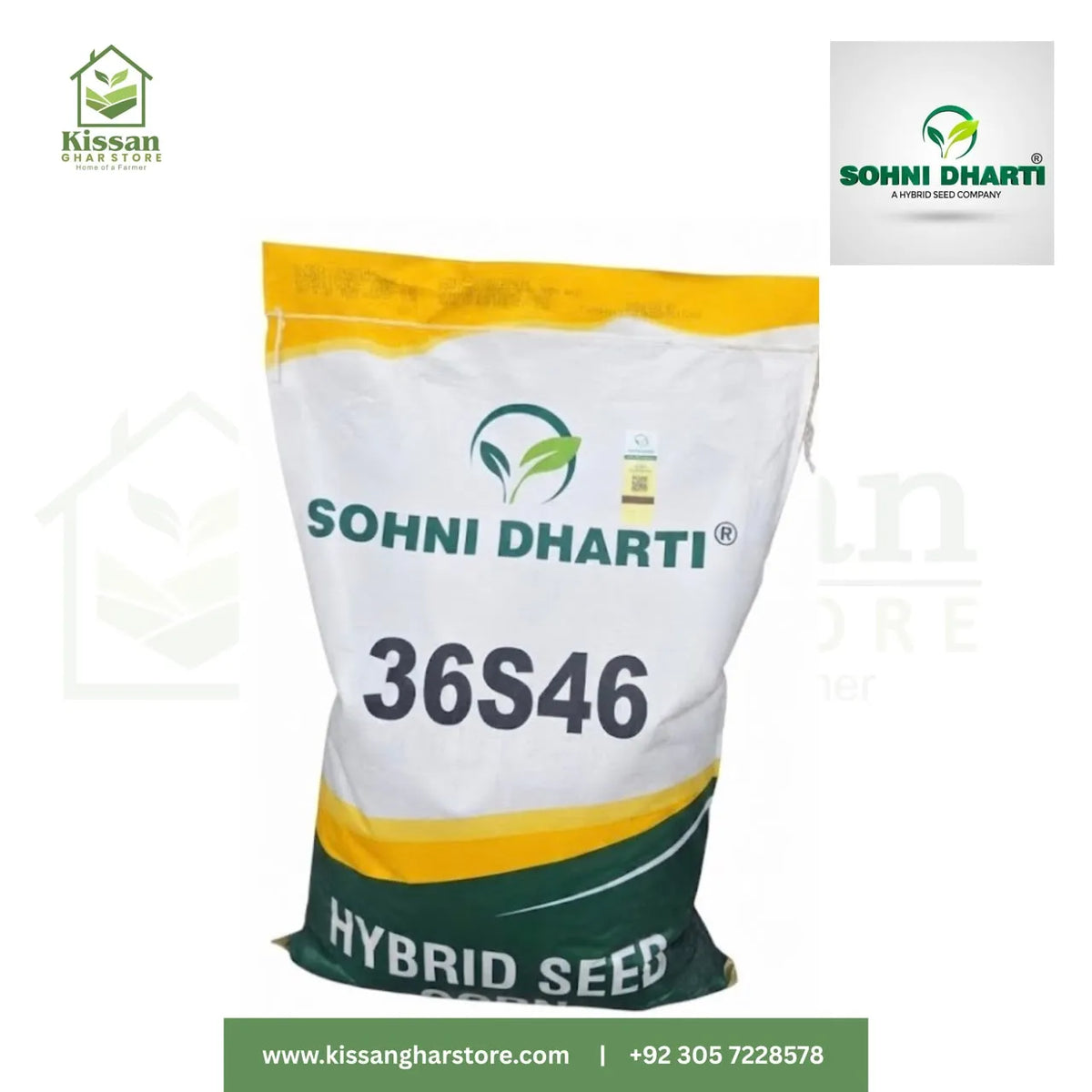 36S46 Hybrid Corn Seed 10kg Sohni Dharti Best For Silage And Grain Corn Maize Seed Single Cross